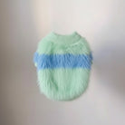 Pull coton doux pour chien en vert menthe avec des détails bleus pour le confort et le style
