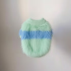 Pull coton doux pour chien en vert menthe avec des détails bleus pour le confort et le style