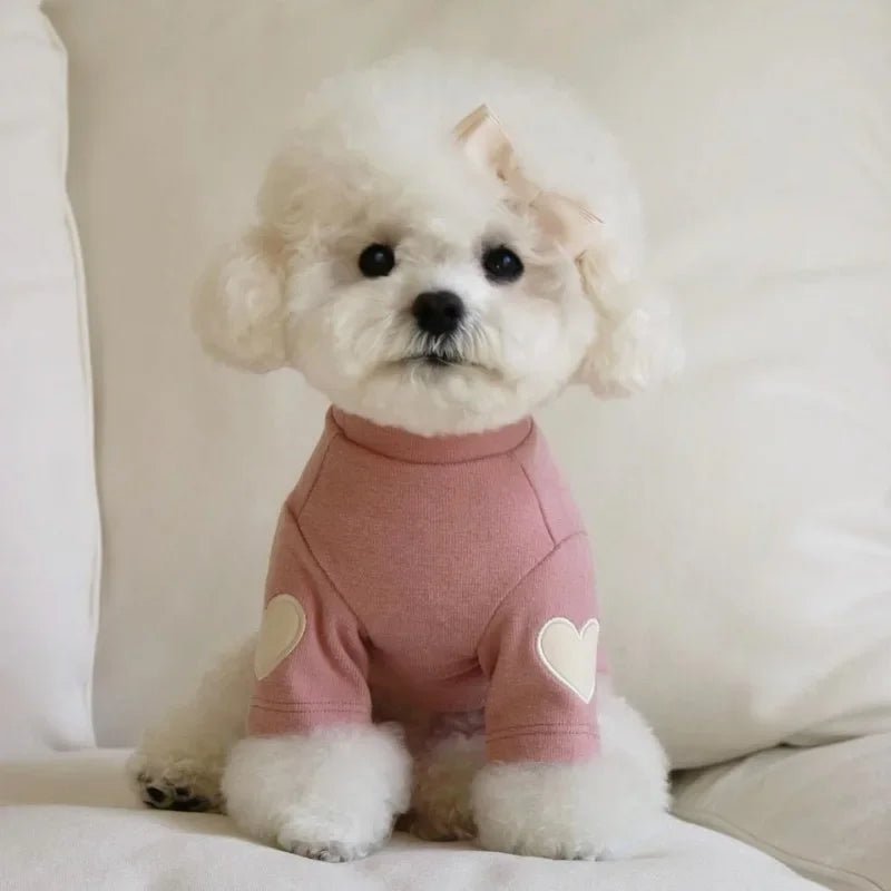 Pull d'hiver pour petit chien Oscar et Plume Rose / XS