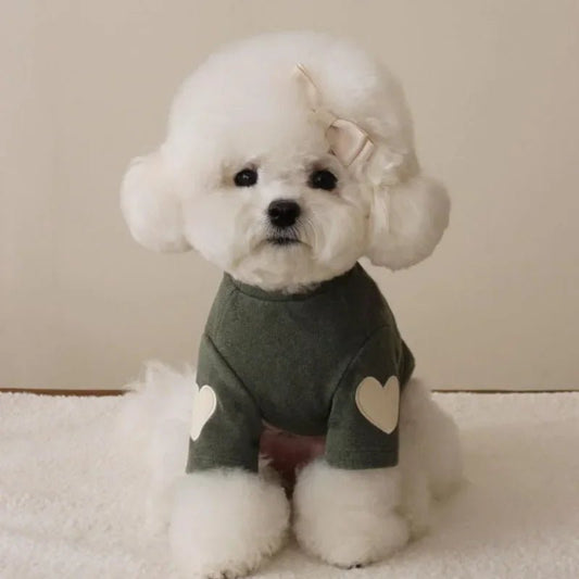 Pull d'hiver pour petit chien - Oscar et Plume