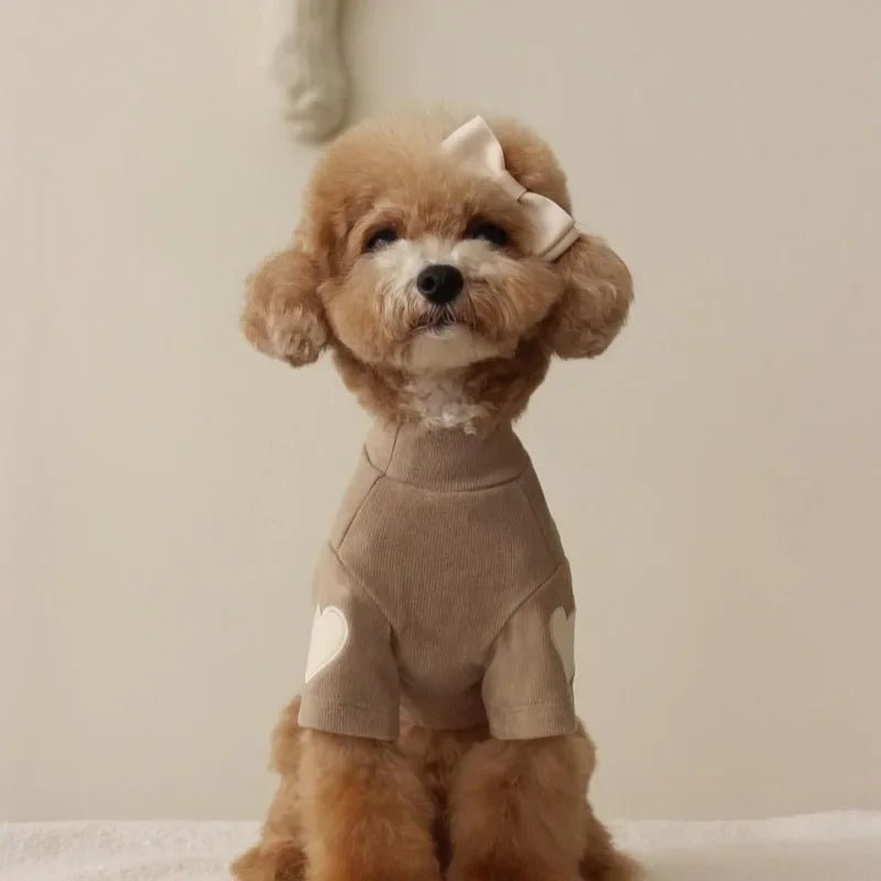 Pull d'hiver pour petit chien Oscar et Plume Marron / XS