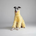 Charger l'image dans la visionneuse de la galerie, Lévrier gris en pull doux pour lévrier jaune pelucheux col montant présenté par Oscar et Plume
