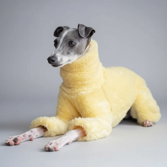 Chien lévrier gris portant un pull doux pour lévrier jaune moutarde en fausse fourrure sur canapé