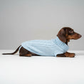 Carica l'immagine nel visualizzatore della galleria, Pull élégant pour teckel en bleu clair, tricot à col montant pour chiens stylés
