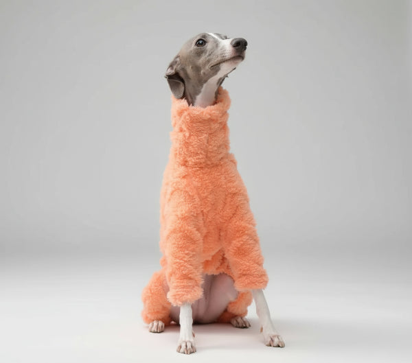 Oscar et Plume pull en polaire pour lévrier orange col roulé douillet porté par un lévrier dans le jardin