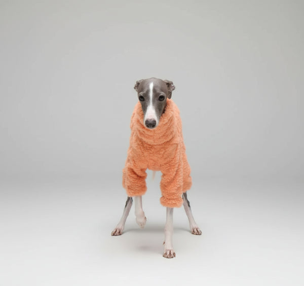 Oscar et Plume pull en polaire pour lévrier orange douillet combinaison chaude pour promenades en extérieur