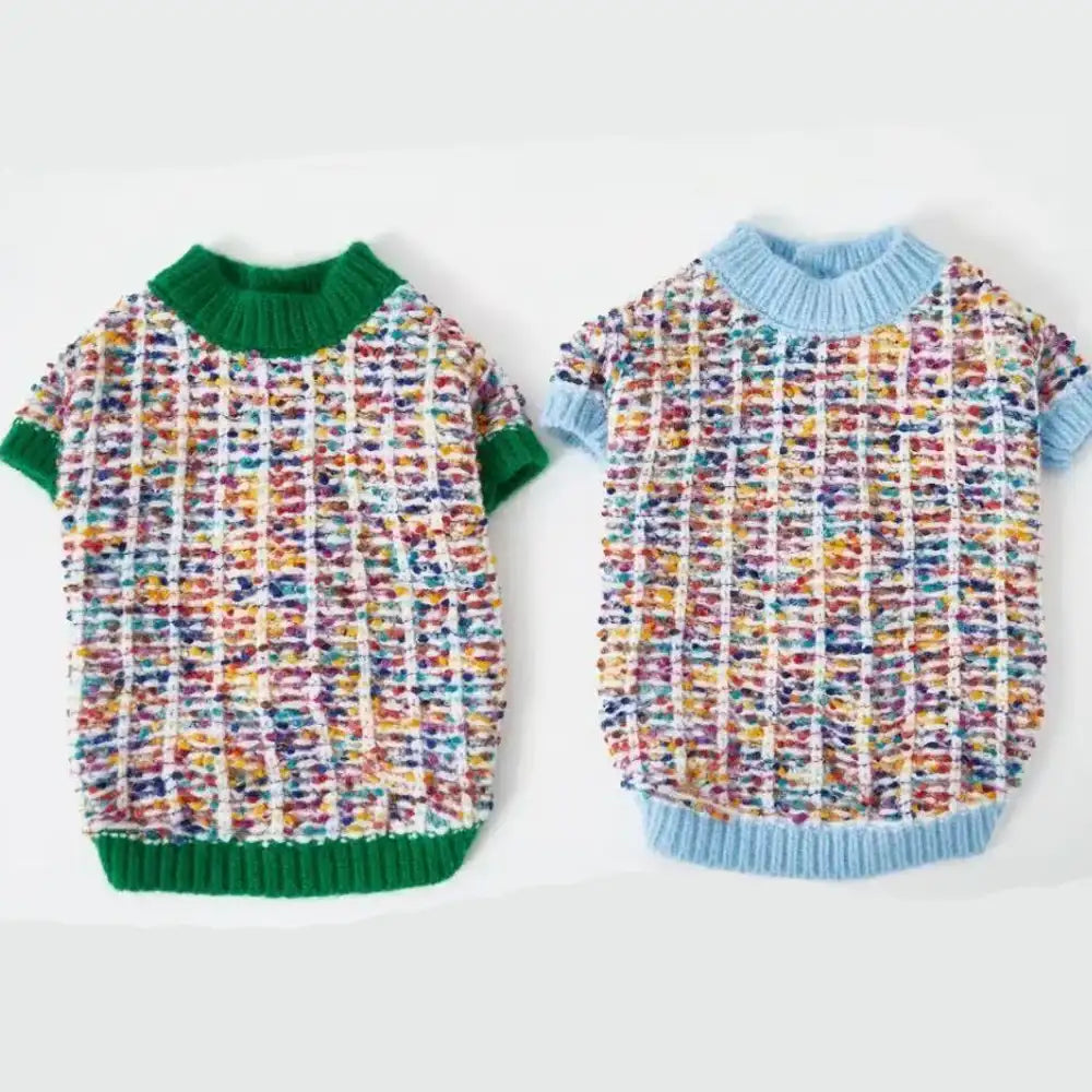 Pull hiver pour teckel en tricot coloré, disponible en vert et bleu, idéal pour les promenades en hiver