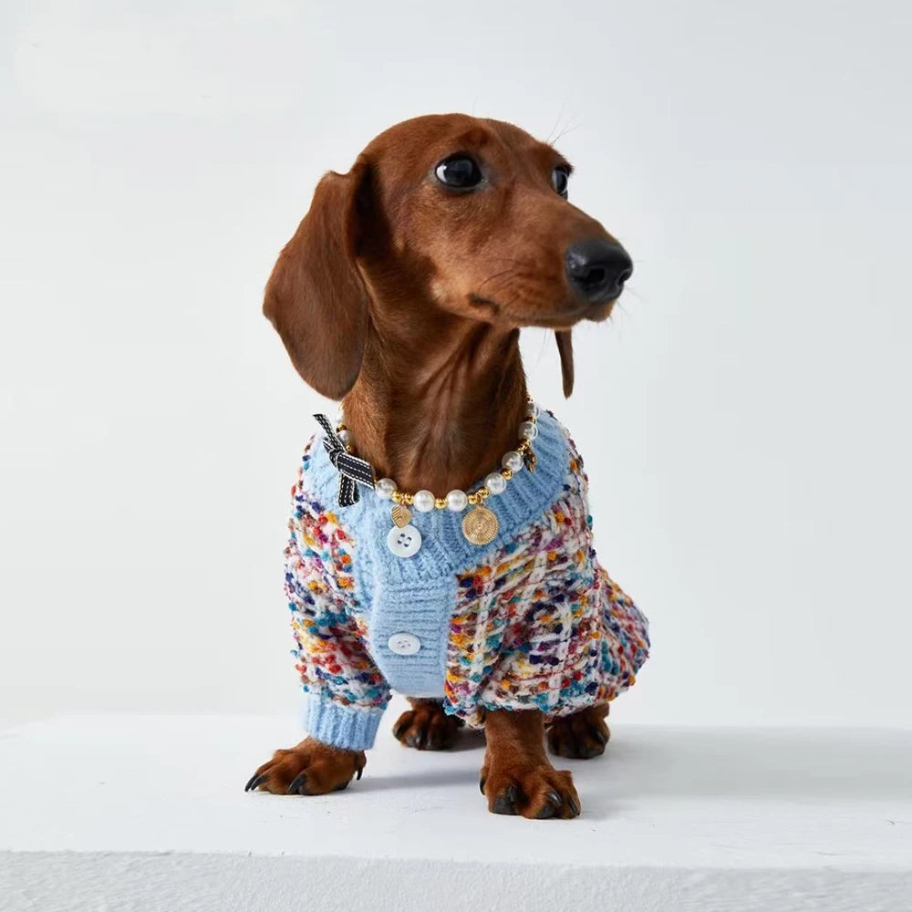 Pull hiver pour teckel en tricot coloré avec boutons et col, idéal pour garder votre chien au chaud