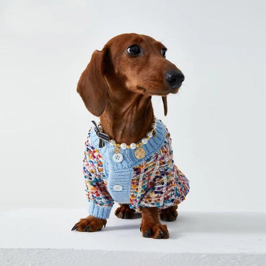 Pull hiver pour teckel en tricot coloré avec boutons et col, idéal pour garder votre chien au chaud