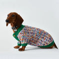 Charger l'image dans la visionneuse de la galerie, Pull hiver pour teckel coloré avec motif tricoté et col vert pour garder votre chien au chaud

