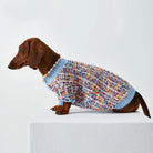 Pull hiver pour teckel multicolore avec un col bleu pour garder les chiens au chaud