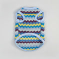 Carica l'immagine nel visualizzatore della galleria, Pull léger pour chien à motifs zigzag colorés avec des tons de bleu, jaune et violet
