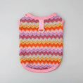 Carica l'immagine nel visualizzatore della galleria, Pull léger pour chien en tricot rayé avec des couleurs vives et un design élégant
