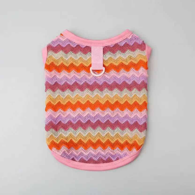 Pull léger pour chien en tricot rayé avec des couleurs vives et un design élégant