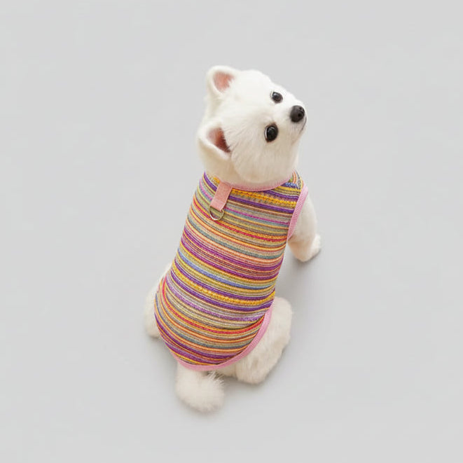 Pull léger pour chien aux couleurs vives et rayées, offrant confort et style pour votre animal de compagnie