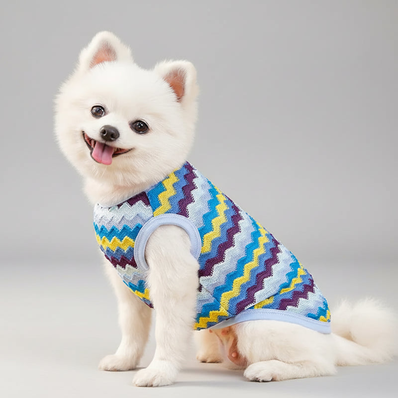 Chien Pomeranian portant un pull léger pour chien avec motif coloré et confortable