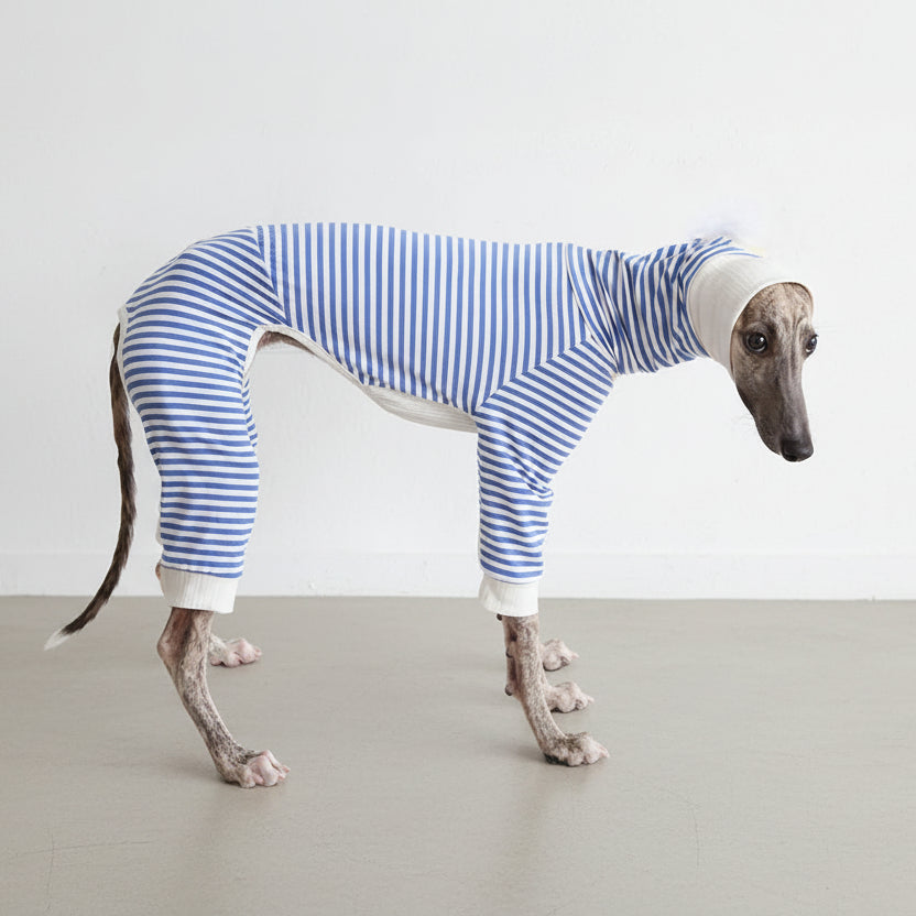 Pull léger pour lévrier rayé bleu et blanc, confortable et stylé pour les chiens de course