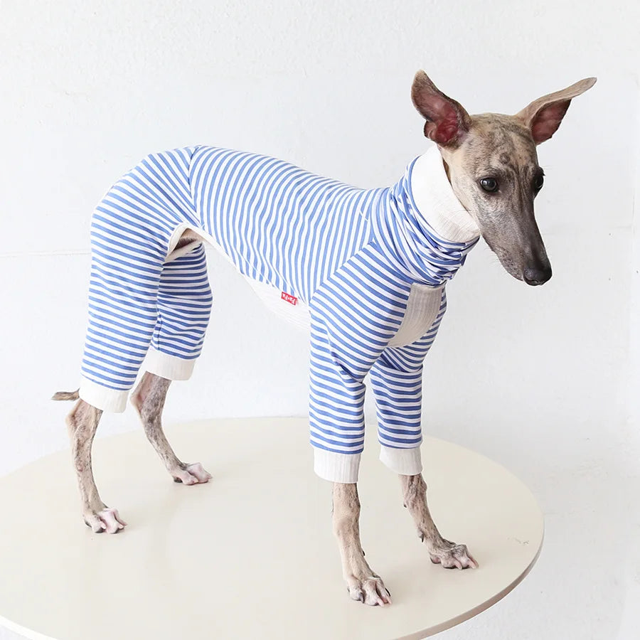 Pull léger pour lévrier à rayures bleues et blanches, conçu pour le confort et le style des lévriers.