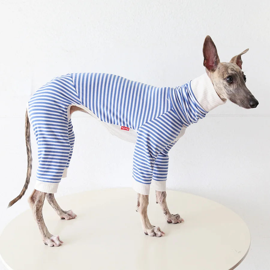Pull léger pour lévrier en rayures bleues et blanches, conçu pour le confort des lévriers.