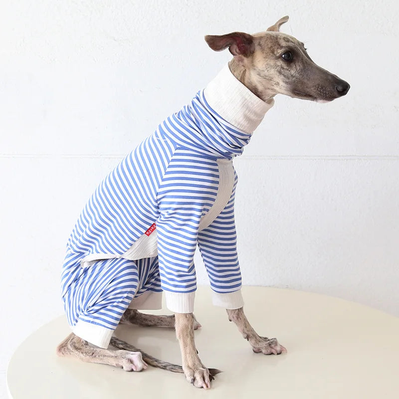 Pull léger pour lévrier à rayures bleues et blanches, parfait pour les jours frais