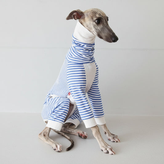 Pull léger pour lévrier à rayures bleues et blanches, conçu pour le confort du chien