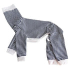 Pull léger pour lévrier à rayures marines, parfait pour le confort de votre chien.