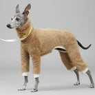 Pull polaire pour lévrier beige doux avec col haut et finition blanche, parfait pour l'hiver