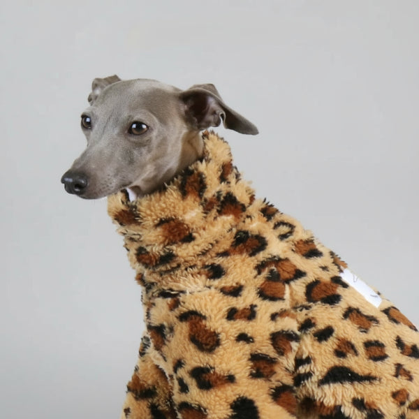 Pull polaire pour lévrier Oscar et Plume en peluche léopard pour un confort optimal