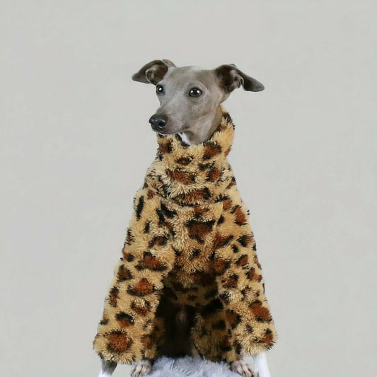 Pull polaire pour lévrier au motif léopard, doux et confortable pour animaux de compagnie