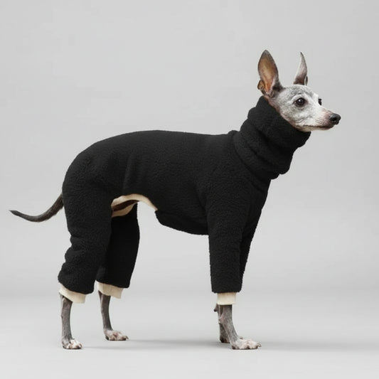 Pull polaire pour lévrier noir avec col roulé pour garder votre chien au chaud