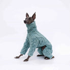 Pull polaire pour lévrier en vert clair avec un design doux et confortable pour les chiens.