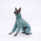 Pull polaire pour lévrier en vert clair avec un design doux et confortable pour les chiens.