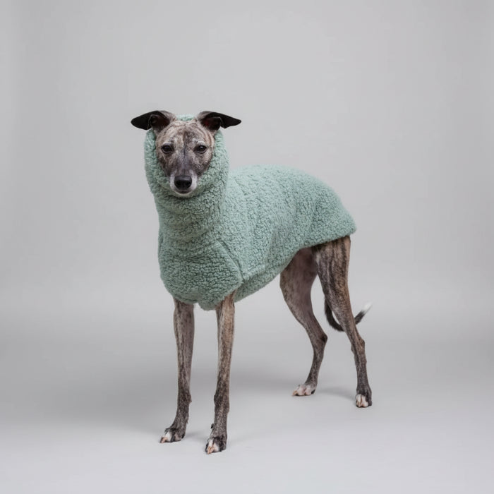 Pull polaire pour lévrier en vert doux, idéal pour garder votre chien au chaud
