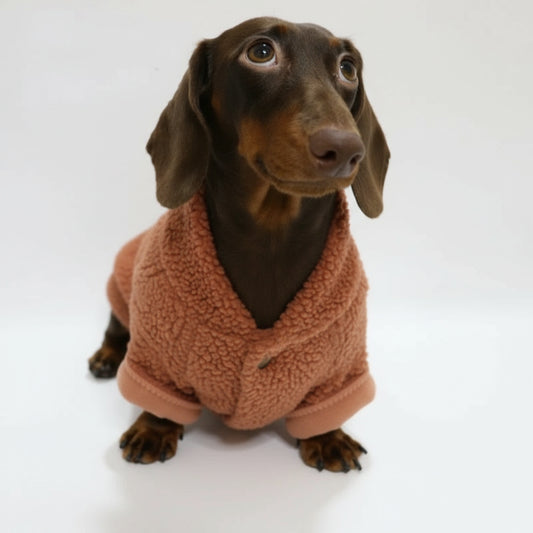 Pull polaire pour teckel en couleur rose avec col et manches confortables