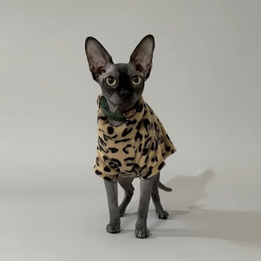 Pull pour chat sphynx à motif léopard, confortable pour les animaux de compagnie dans un intérieur moderne