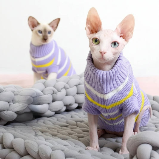 Deux chats Sphynx portant des pulls pour chat Sphynx avec des rayures lavande et jaunes