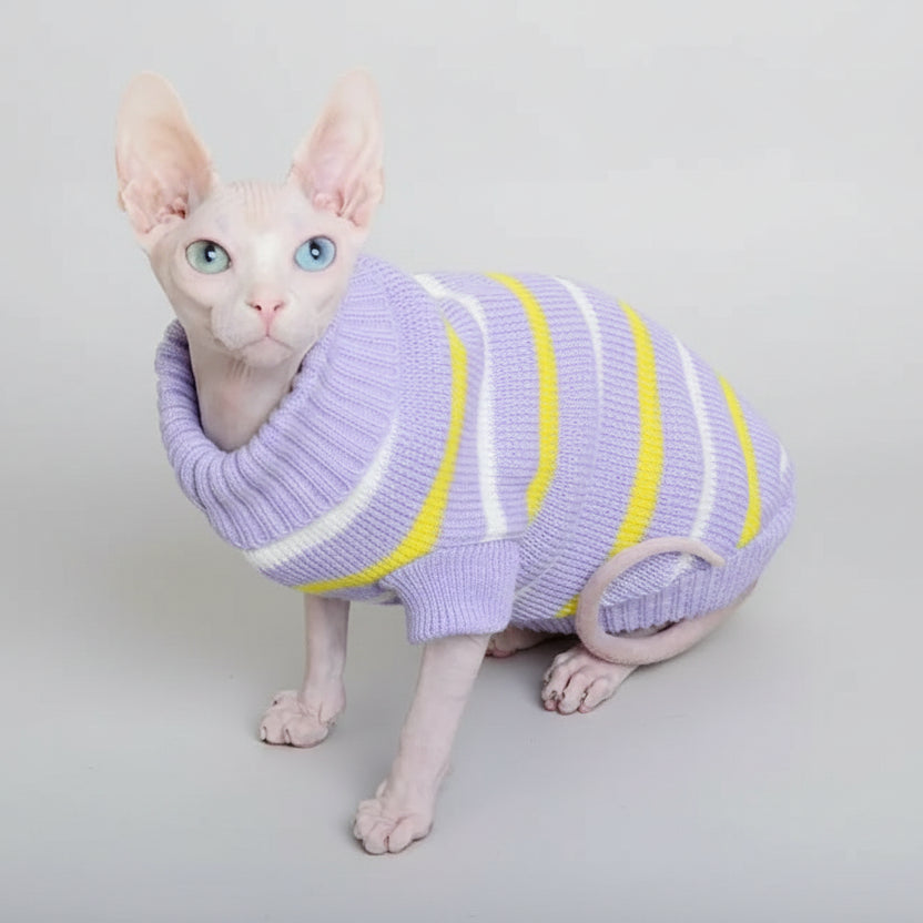 Pull pour chat Sphynx en lilas avec rayures jaunes et blanches, parfait pour garder les chats au chaud