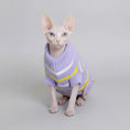 Load image into Gallery viewer, Pull pour chat Sphynx en pur coton violet avec rayures jaunes et blanches pour le confort de votre animal
