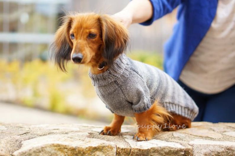 Pull pour chien teckel Oscar et Plume