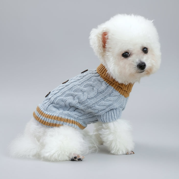 Pull pour chien bleu boutons en tricot avec col en contraste pour petits chiens élégants