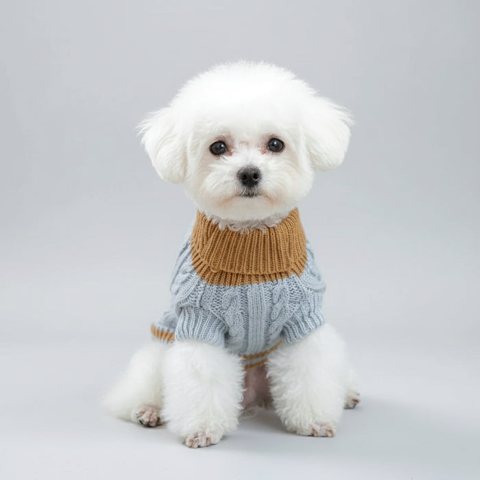 Pull pour chien bleu boutons avec col marron pour un look élégant et confortable
