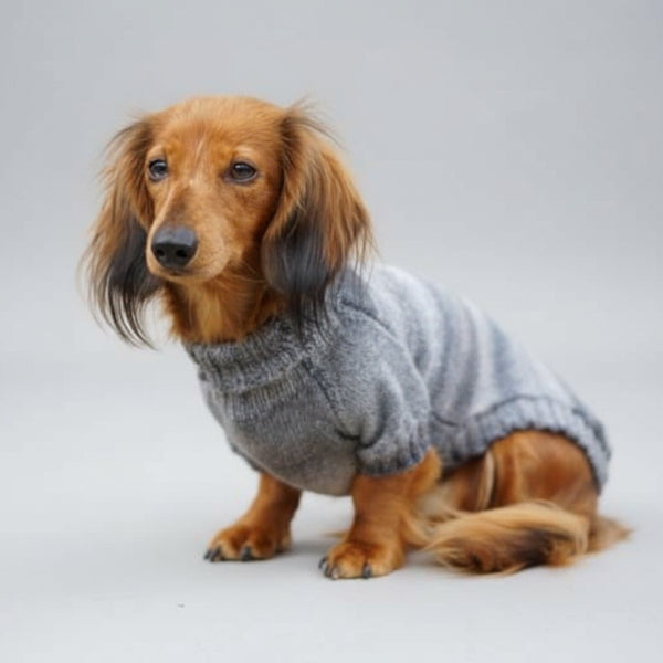Dachshund Dog Sweater Comfort and Style⎜Handmade – Oscar et Plume