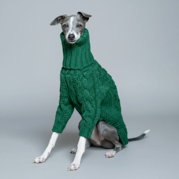 Chien en pull pour lévrier col roulé vert avec un motif en tricot, posé sur un coussin