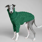 Pull pour lévrier col roulé en vert, tricoté, parfait pour garder votre chien au chaud