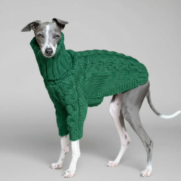 Pull pour lévrier col roulé en vert, tricoté, parfait pour garder votre chien au chaud