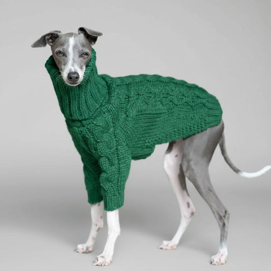 Pull pour lévrier col roulé en vert, tricoté, parfait pour garder votre chien au chaud