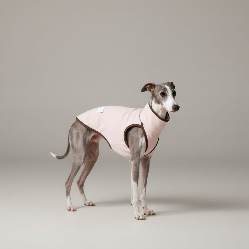 Pull pour lévrier italien en rose avec des finitions brunes et un design confortable