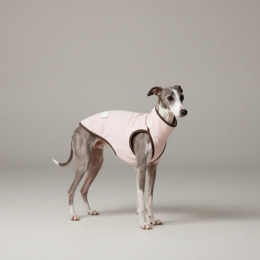 Pull pour lévrier italien en rose avec des finitions brunes et un design confortable