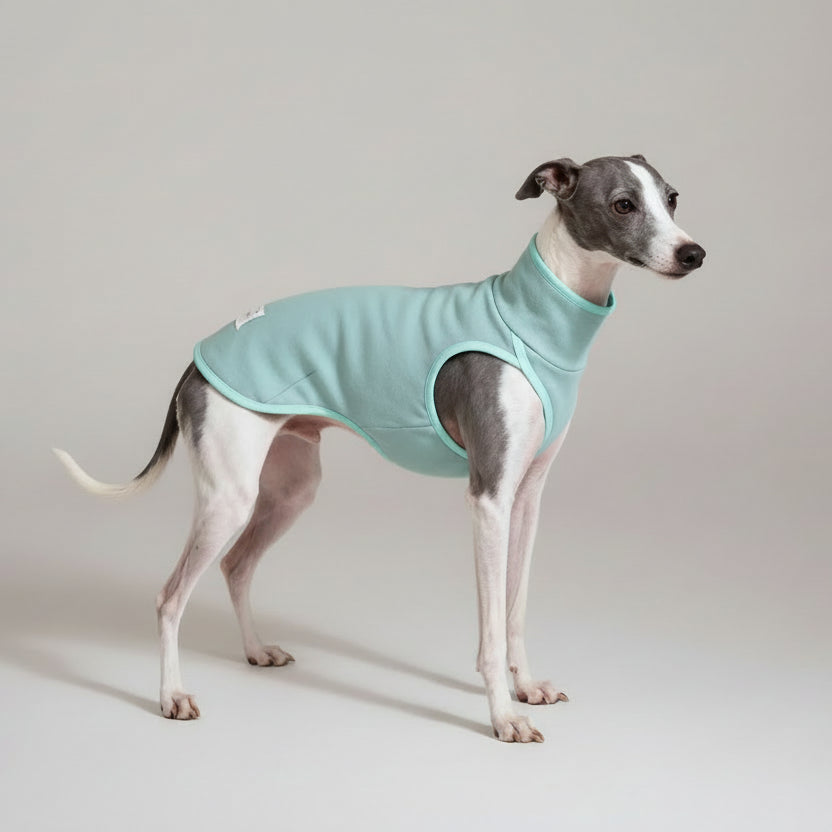 Pull pour lévrier italien en bleu pastel, doux et confortable pour les jours frais