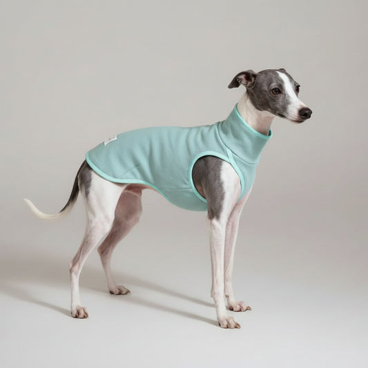 Pull pour lévrier italien en bleu pastel, doux et confortable pour les jours frais